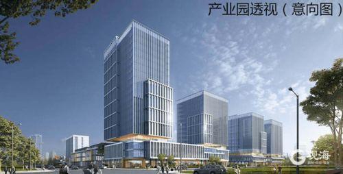 青岛流亭机场爆料最新消息,航班调整与运营情况揭晓