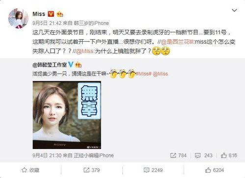 董导爆料视频,独家爆料视频深度解析